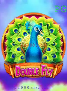 Explorando o Mundo de DoubleFly: Um Olhar Detalhado nas Mecânicas e Regras de Jogo