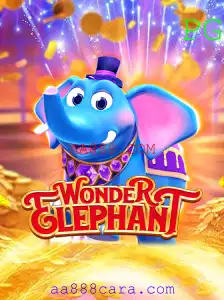 WonderElephant: Descubra o Novo Fenômeno de Entretenimento
